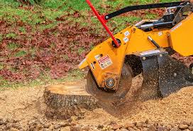 Best Storm Damage Tree Cleanup  in Clarkesville, GA